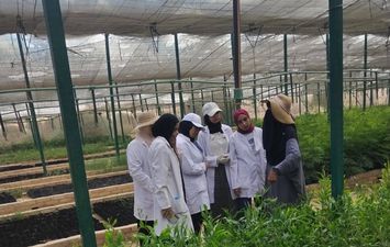 جامعة مطروح 