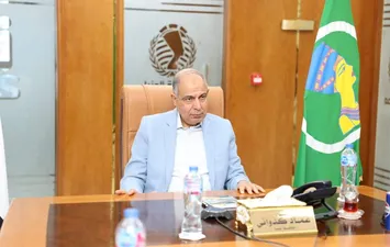 محافظ المنيا 