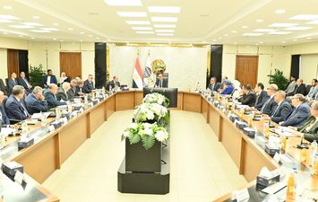 وزير قطاع الاعمال 