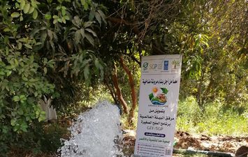 الفاعلية 