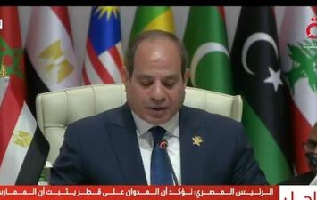 الرئيس السيسي 