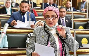 النائبة سميرة الجزار 