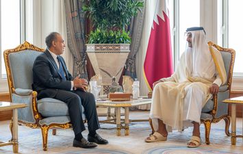 أمير قطر ووزير الخارجية