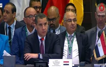السفير راجي الأتربي، ممثل مصر أمام اجتماع قمة مجموعة العشرين