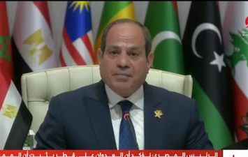 السيسي
