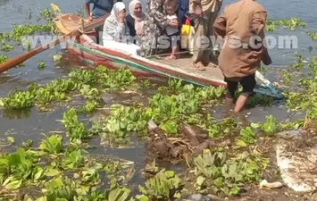 المواطنين 