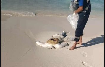 جثة متحللة هجرة غير شرعية غرب مطروح 