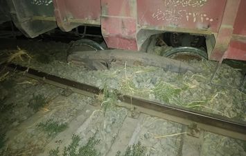 خروج 7 عربات طفل بقطار بنى سويف 