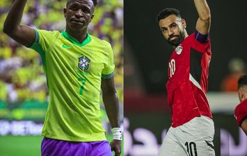مصر والبرازيل 