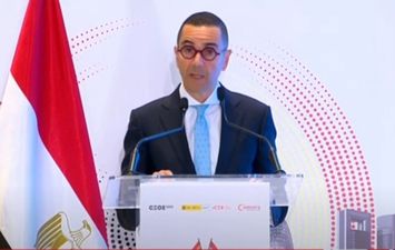 وزير الاستثمار