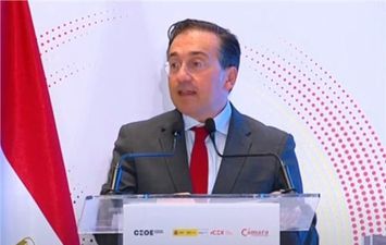 وزير الخارجية الإسباني