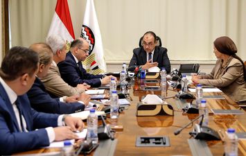 وزير قطاع الاعمال