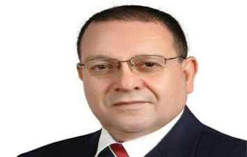 الدكتور محمد ربيع ناصر