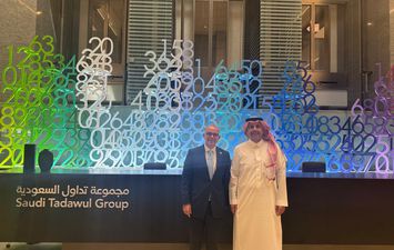 الرقابة المالية