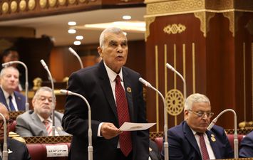 المستشار عصام فريد