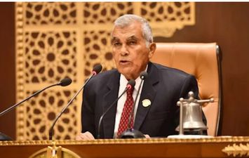 المستشار عصام فريد رئيس مجلس الشيوخ