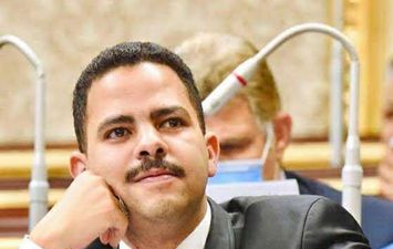 النائب أشرف رشاد