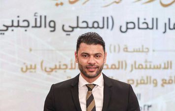 المهندس أحمد حلمي