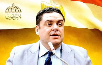 حسام العمدة 