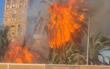 صور الحريق 
