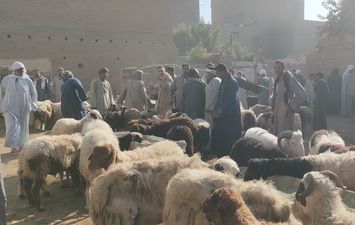 صور السوق