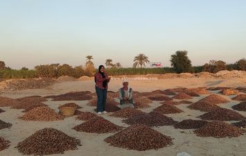 صور مسطاح البلح