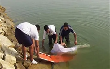 صوره ارشيفيه