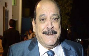 ضياء الميرغني 