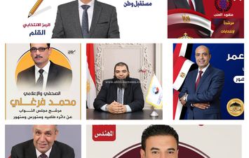 مرشحين دائرة طامية وسنورس وسنهور
