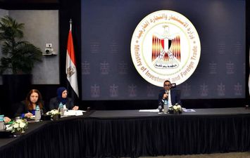 وزير الاستثمار 