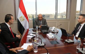 وزير الكهرباء