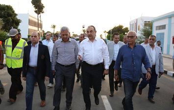 وزير قطاع الأعمال 
