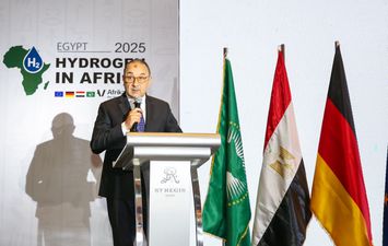 وزير قطاع الاعمال