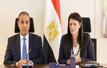 وزيرا التخطيط والخارجية