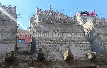 ابراج الحمام الجبلي بالوقف 