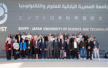 الجامعة المصرية اليابانية