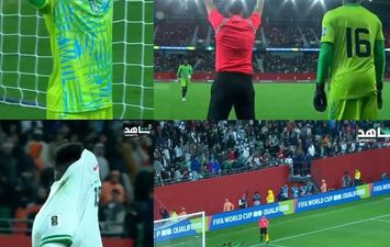  الحارس فايولو