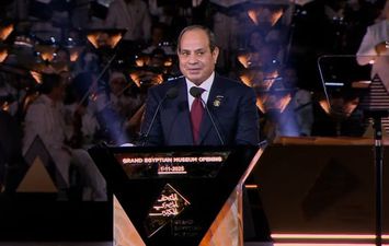 الرئيس السيسي