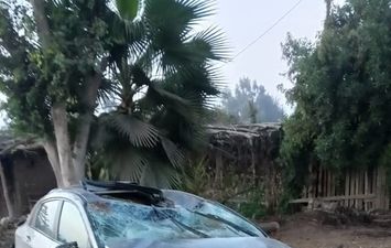 العروس المتوفية 