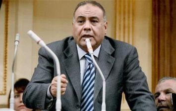  المستشار محمد سليم