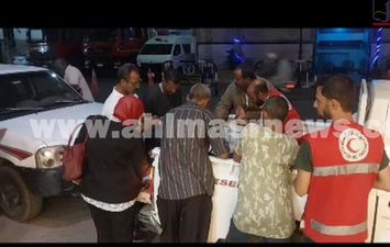 تحصين الكلاب الضالة بقنا 