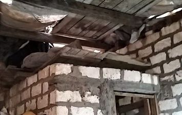 جانب المنزل