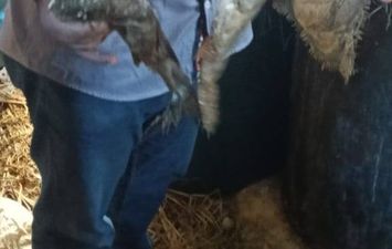 جانب من الضبطيات 