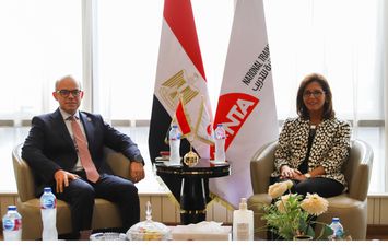 رئيس الرقابة المالية 