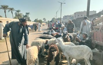 سوق المواشي