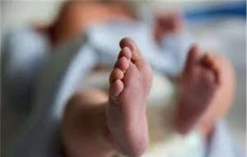 صوره ارشيفيه 