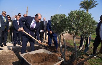 فريد يزرع شجرة