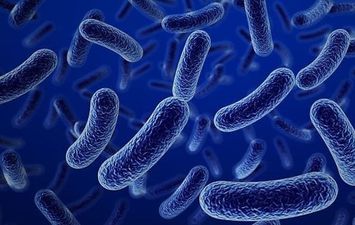 فيروس ماربورغ