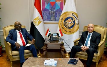 كامل الوزير 