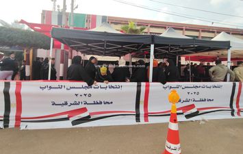 الانتخابات 